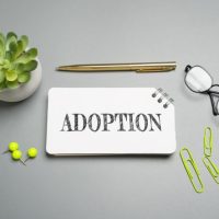 Adopt_ Adopt_